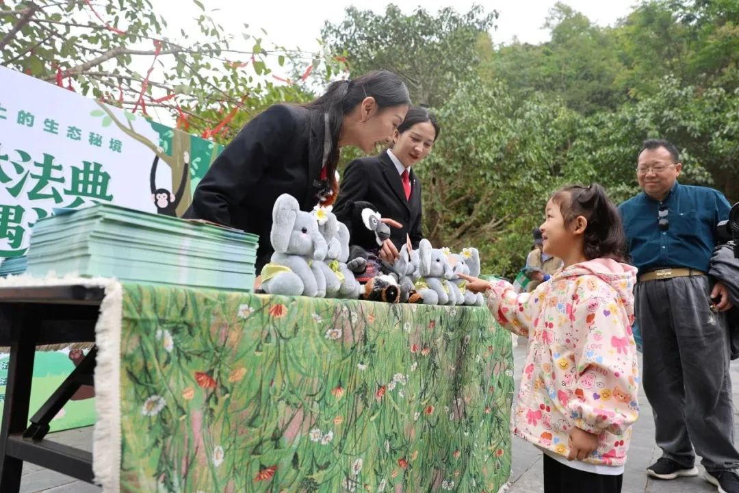 司法护航万物生：普洱“人象和谐”的法治密码 
